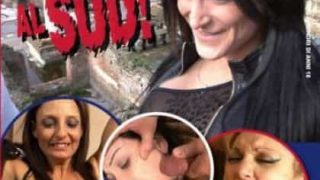 Benvenute al Sud Video CentoXCento Streaming