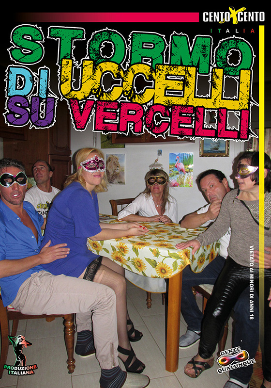 Stormo di uccelli su Vercelli